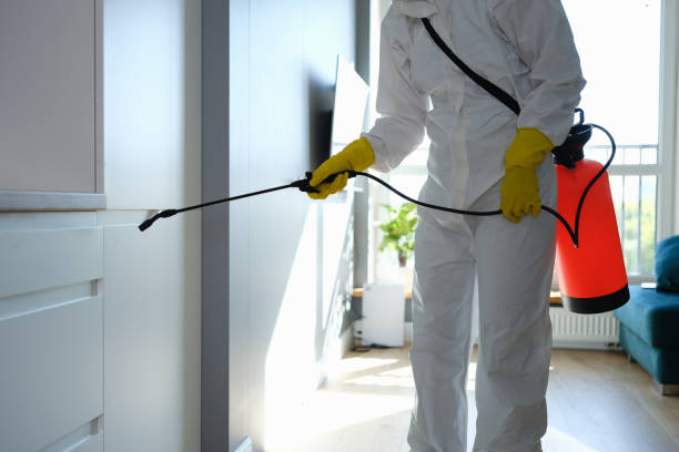 Water Damage Restoration in Washington, UT
