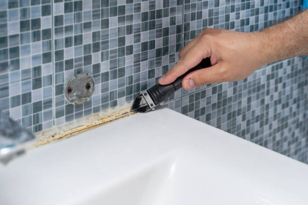 Best Home Mold Removal  in Washington, UT